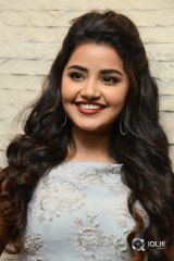 Anupama Parameswaran At Vunnadhi Okate Zindagi Movie Pre Release Function